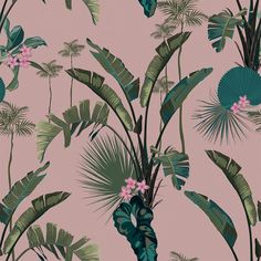 a pink wallpaper with green palm leaves and flowers on the bottom right hand corner