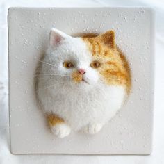 an orange and white cat with yellow eyes sitting on a white square object that looks like it has water droplets all over it