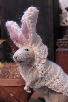 a stuffed rabbit wearing a knitted sweater and sitting on top of a wooden chair