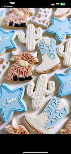 decorated cookies are displayed on a table