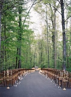 rows of chairs lined up on the side of a road in front of tall trees