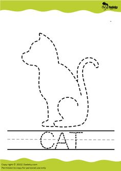 the letter c is for cat worksheet with an animal on it's back