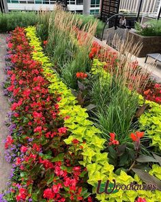 colorful flowers line the side of a building