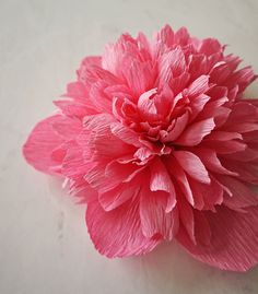 a pink flower sitting on top of a white table