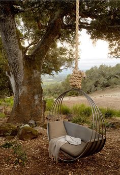 a swing chair hanging from a tree in the woods