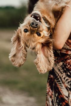 a woman holding a small dog in her arms