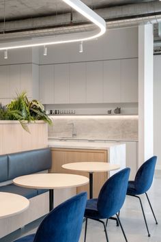 an office with blue chairs and tables in the foreground is a plant on the counter