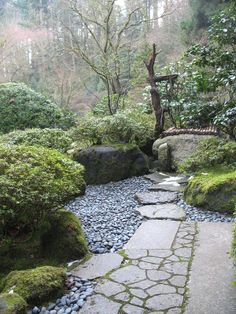 a stone path in the middle of a forest