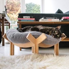 a black cat laying on top of a wooden chair in front of a couch and bookshelf