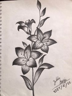 a drawing of a flower with leaves on it