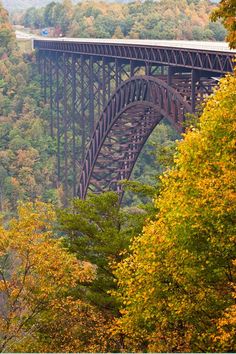 the train is going over the bridge in the fall forest with colorful trees surrounding it