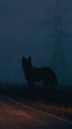 a lone wolf standing on the side of a road at night with power lines in the background