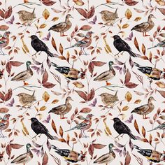 The White The Cottage Birds and Leaves Fabric is part of The Cottage Fabric Collection printed by Sew Creative Fabrics . Digitally Printed on 100% cotton. Sew Creative Fabrics are only available through Sewing Parts Online , not sold in stores or anywhere else online. * Proudly Manufactured in Dickson, Tennessee USA! *   * Even though we do our best to make certain that the colors in our fabric photographs are accurate, please be aware that your display screen may show small variances in color, White Layer Cake, Cottage Fabric, Leaves Fabric, Digital Print Fabric, The Cottage, Display Screen, Pigment Ink, Bird Prints, Textile Prints