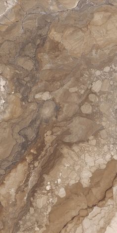 a brown and white marble counter top with black veining on it's edges