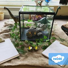 there is a glass box with an animal in it and some plants on the table