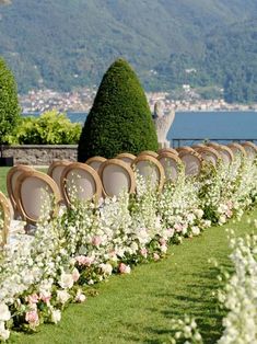 rows of chairs lined up with flowers and greenery on the grass in front of a body of water