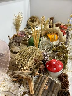 a table topped with lots of different types of plants and mushrooms on top of snow covered ground