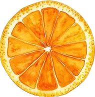 an orange cut in half on a white background