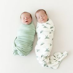 two newborn babies wrapped in blankets laying next to each other on a white background,