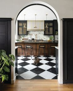 a dog sitting in the middle of a kitchen with black and white checkered flooring