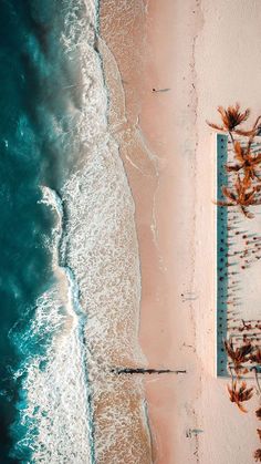 an aerial view of a beach with palm trees and the ocean in the foreground