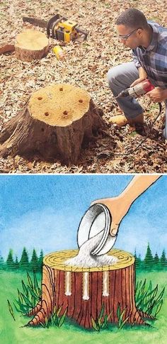 two pictures, one shows a man cutting down a tree stump and the other shows an image of a person using scissors to cut wood