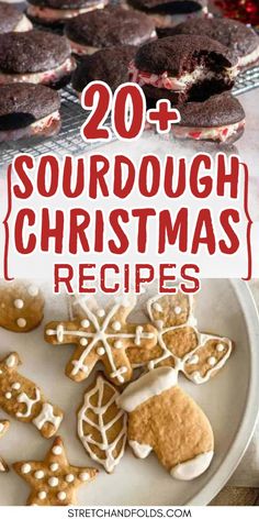 christmas cookies and desserts on a plate with the words 20 sourdough christmas recipes