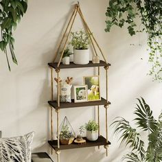 three shelves with plants and pictures on them in the corner of a room next to a potted plant