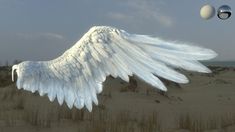 an angel wing is flying over the sand dunes