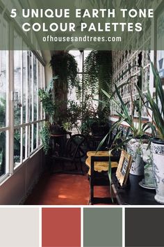 the inside of a house with plants and potted plants in it, text overlay reads 5 unique earth tone color palettes