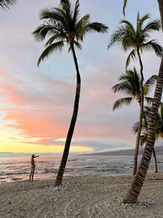 a man standing on top of a sandy beach next to palm trees and the ocean