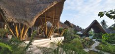 a house with thatched roof surrounded by greenery