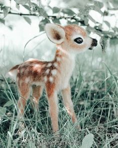 a small stuffed deer standing in the grass