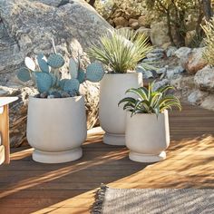 three potted plants sitting on top of a wooden deck next to rocks and trees