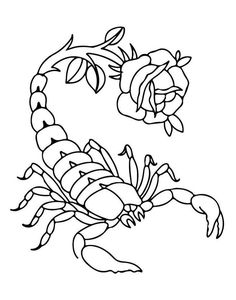 a scorpion with flowers on it's back and the letter c in the middle