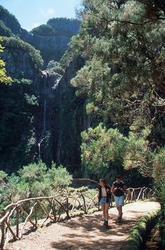 two people are walking on a path in the woods near a waterfall and some trees