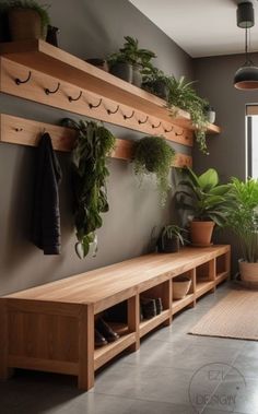 a room filled with lots of potted plants on wooden shelves next to a window