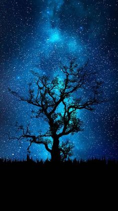 the night sky is filled with stars above a silhouetted tree and some trees in the foreground