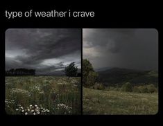 two different views of a field with trees and clouds in the background, one is black and white