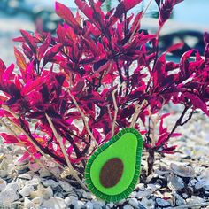 there is a plant that has been placed on the ground with rocks and gravel around it