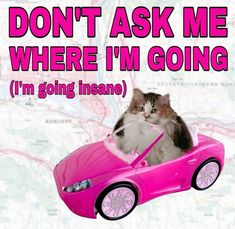 a cat sitting in a pink toy car with the caption don't ask me where i'm going