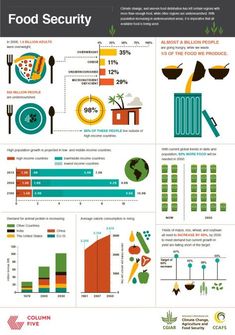 the food security info sheet is shown