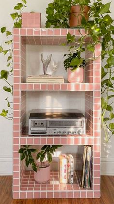 a pink shelf with books and plants on it