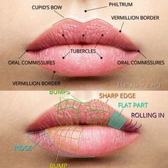 Lip Augmentation, Anatomy For Artists, Lips Drawing