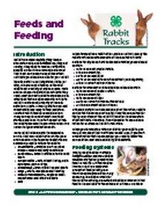 a flyer for rabbits and feeding