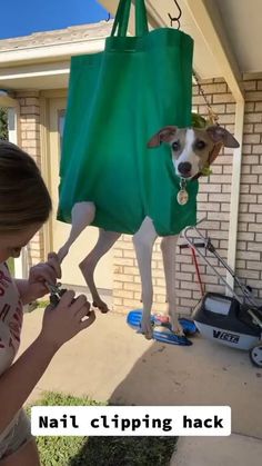 a woman holding a green bag with a dog in it and another person standing next to her