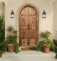 an ornate wooden door with potted plants on either side