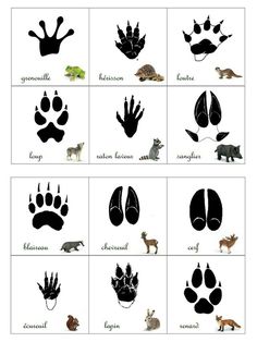 an animal's footprints are shown in black and white, with the names below them