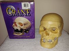 a fake human skull next to a box of cranie