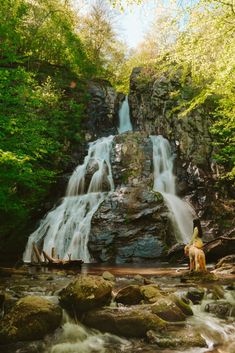 a man riding a horse next to a waterfall in the middle of a lush green forest